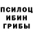 Псилоцибиновые грибы MAGIC MUSHROOMS A Loktenko