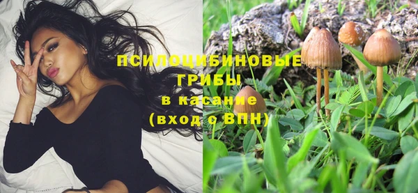 метадон Абаза