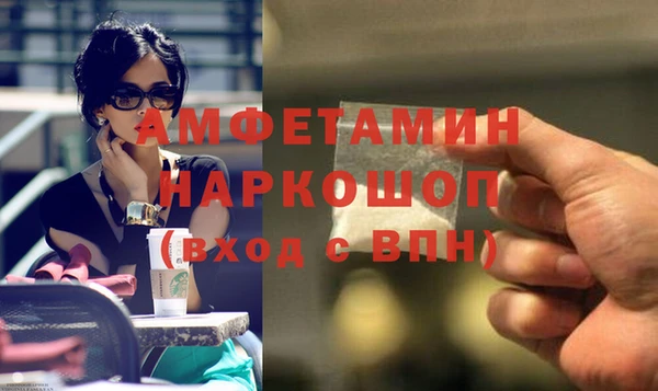 хмурый Алексин